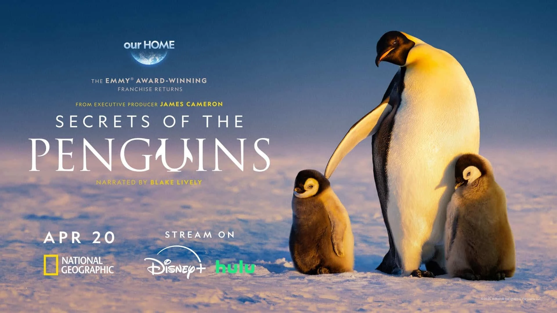 Foto de Secrets of the Penguins