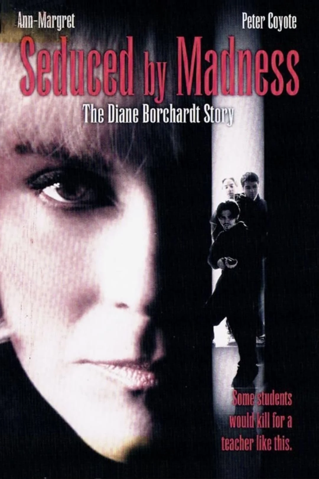 Poster  de Seduced by Madness: The Diane Borchardt Story