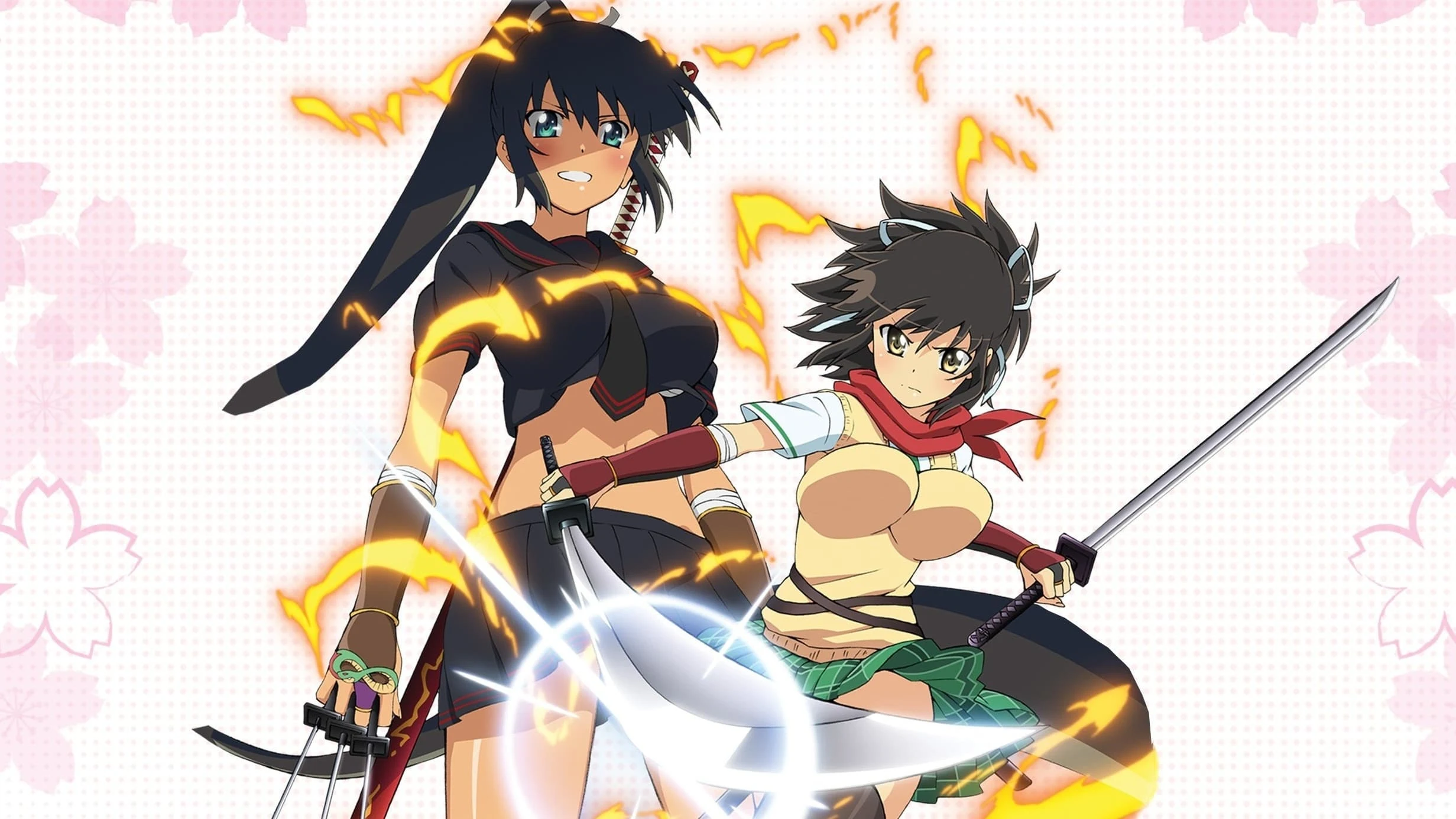 Foto de Senran Kagura: Ninja Flash