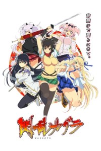 Serie Senran Kagura: Ninja Flash