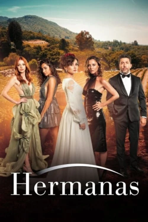Poster  de Sevgili Geçmis en español