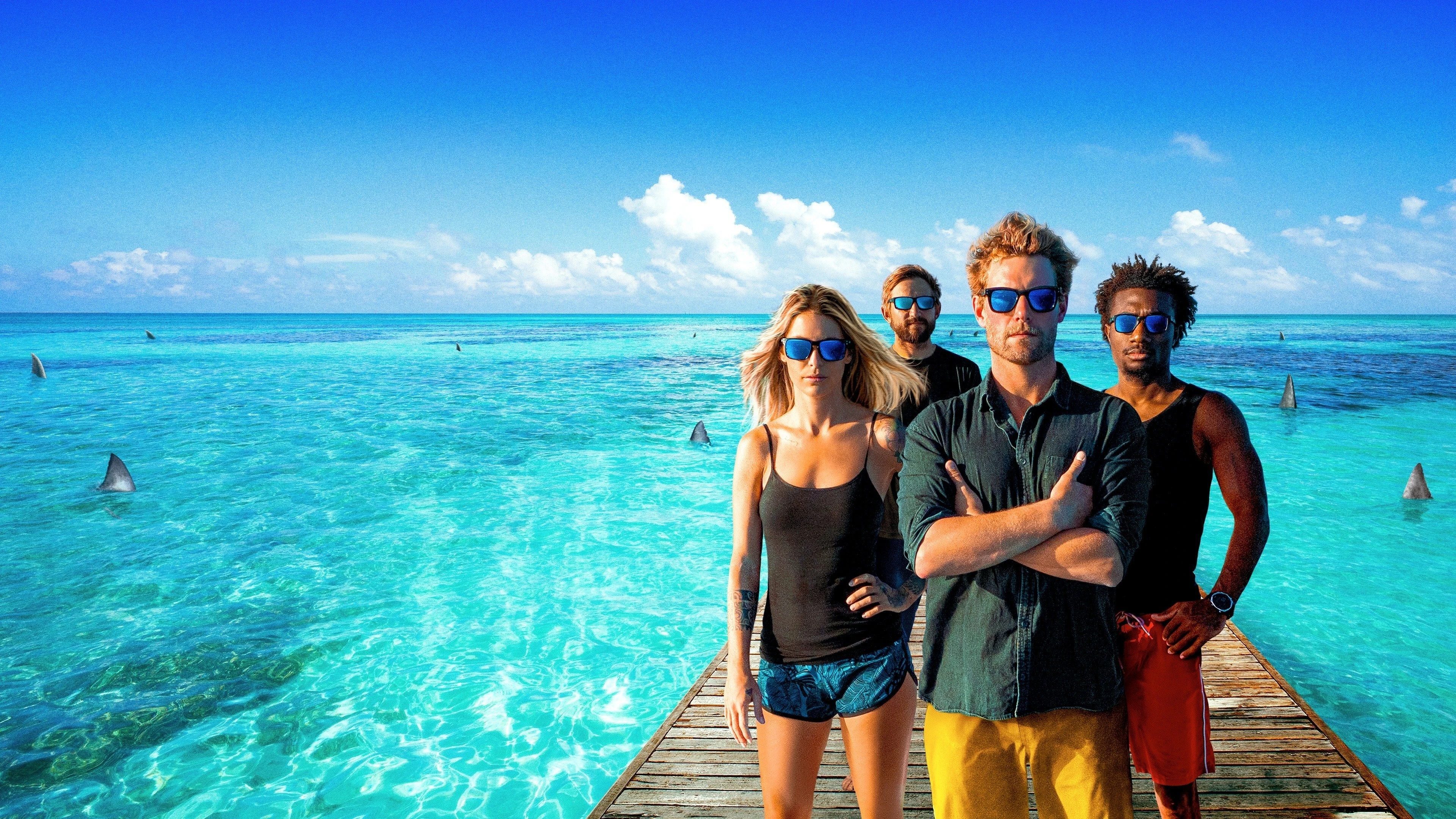 Foto de Shark Academy