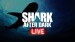 Shark After Dark