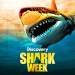 Shark Week, Mothersharker: Hammer Time