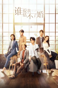 Serie Shei shuo wo jie bu liao hun