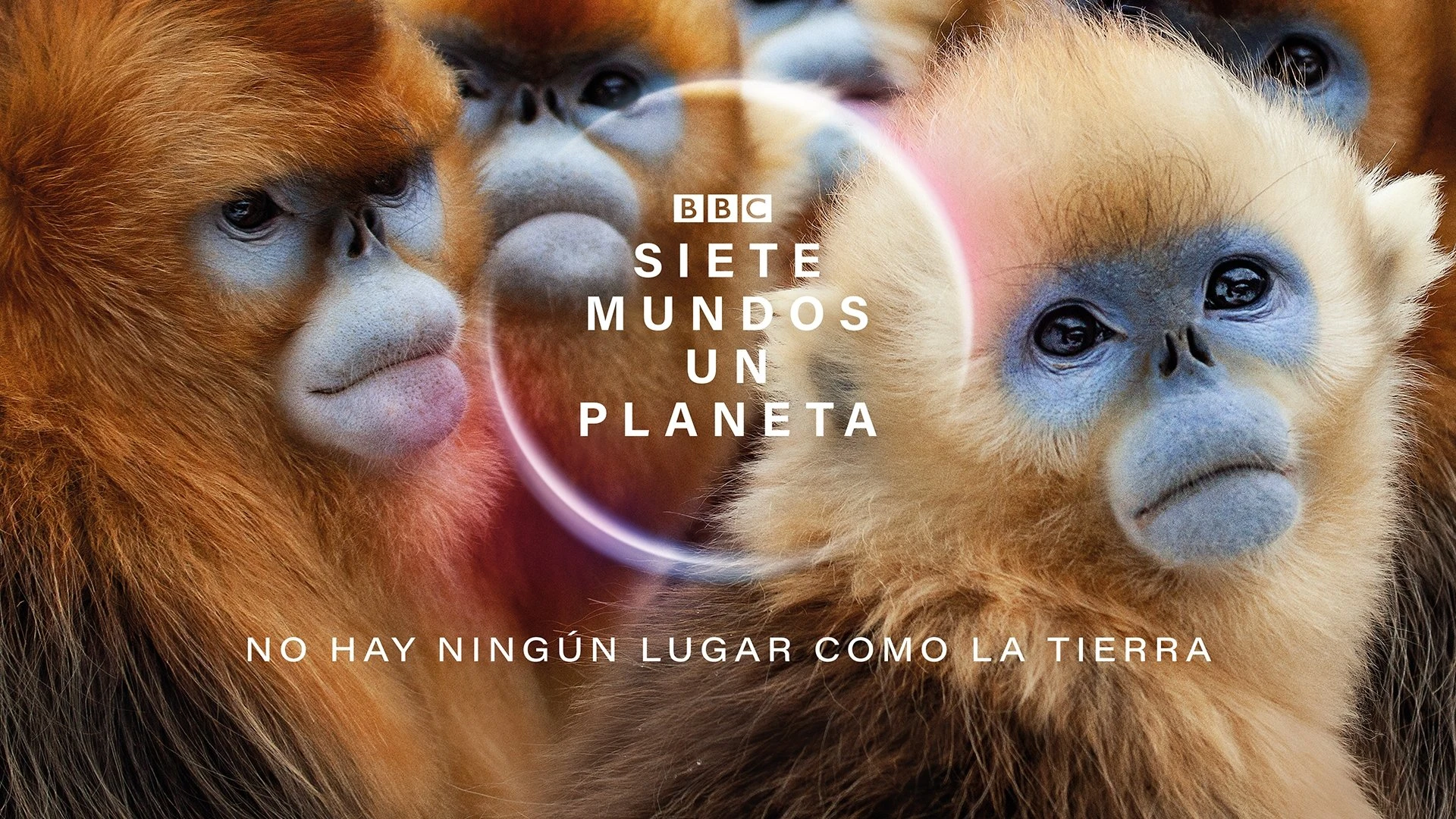 Foto de Seven Worlds One Planet