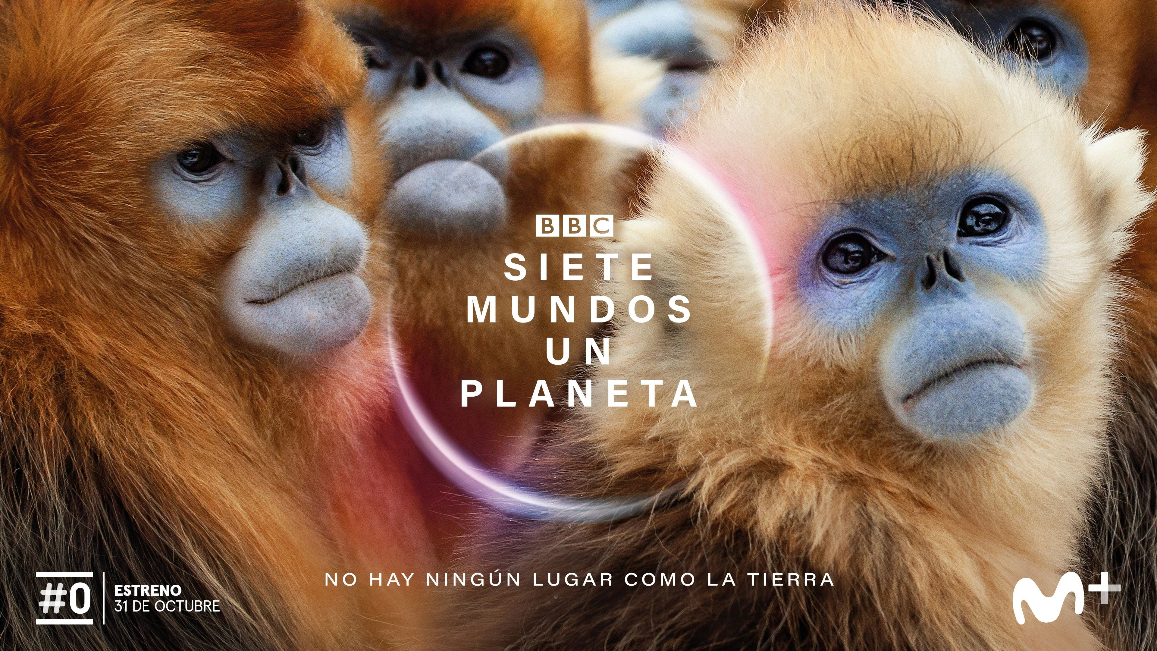 Foto de Seven Worlds One Planet
