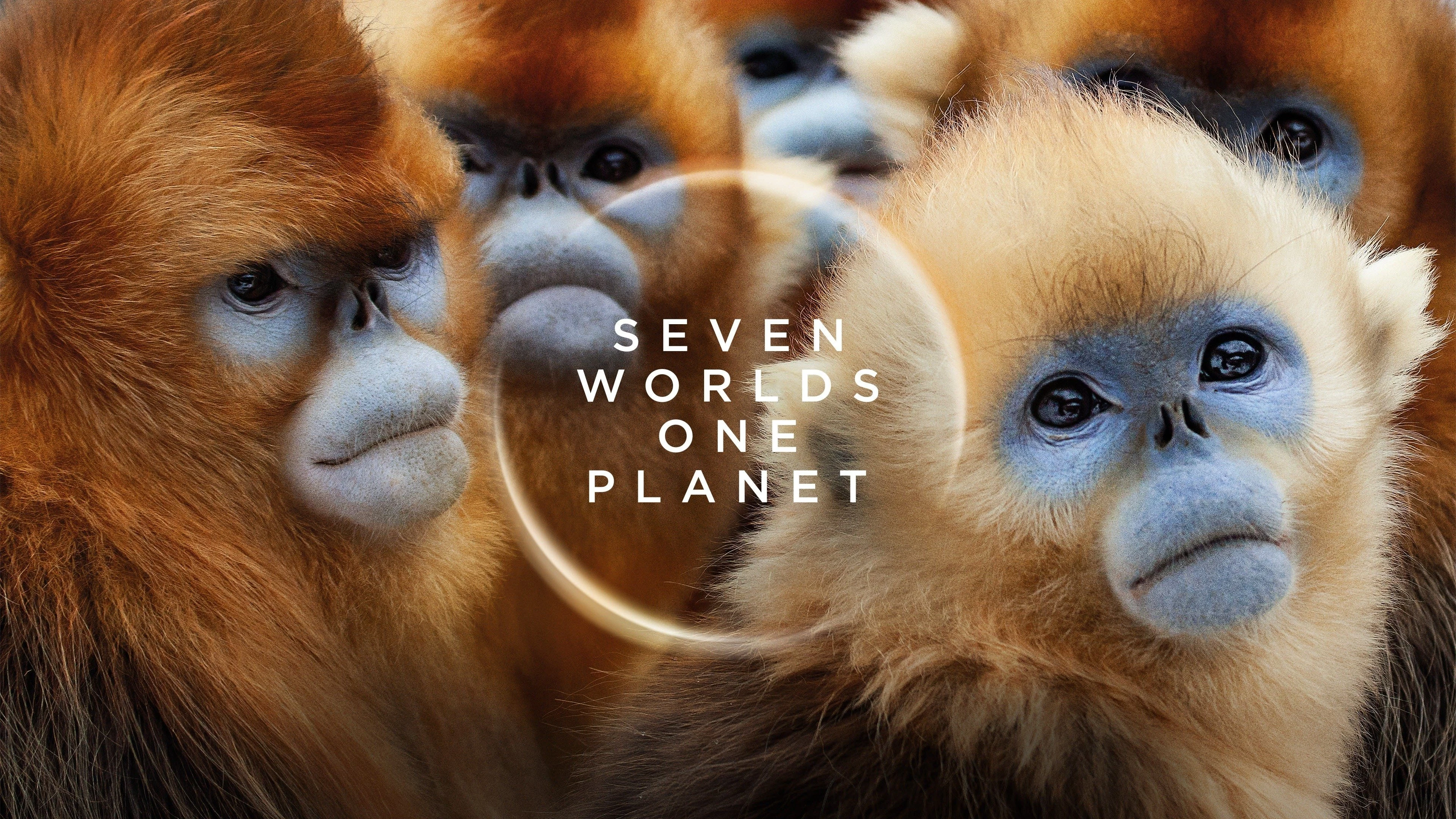 Foto de Seven Worlds One Planet