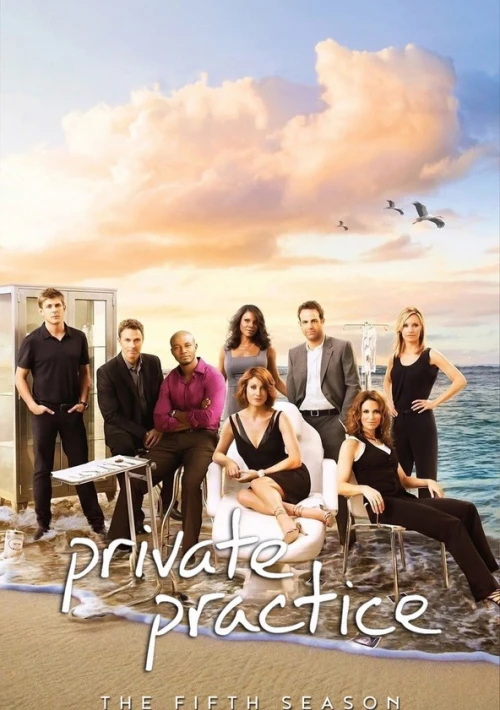 Poster  de la temporada 5 de Private Practice