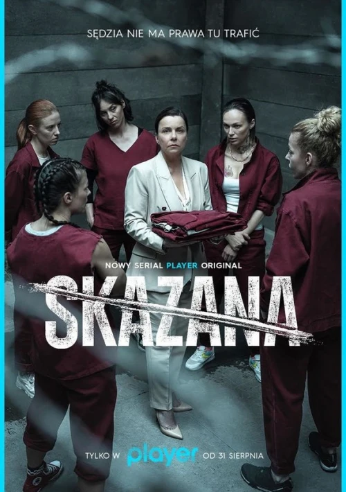 Poster  de la temporada 3 de The Convict