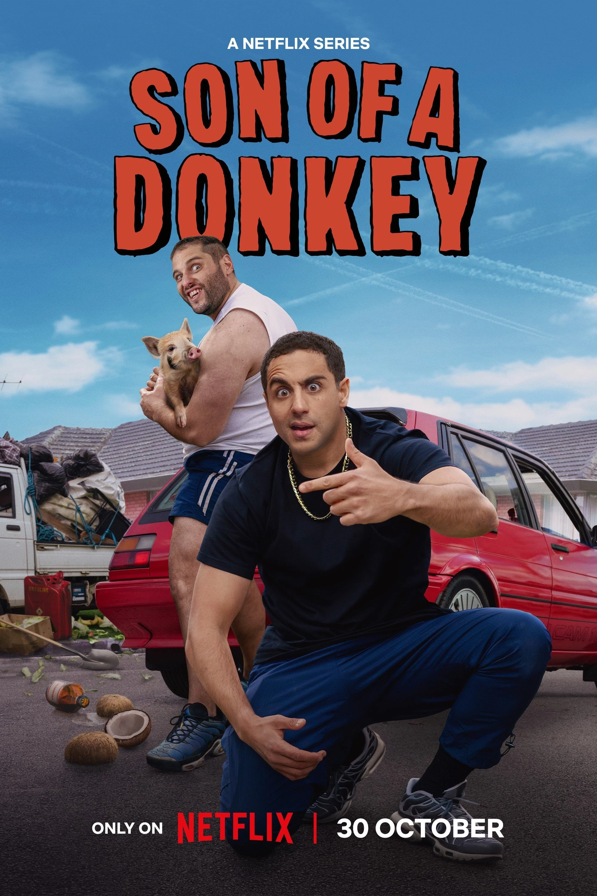 Poster  de Son of a Donkey