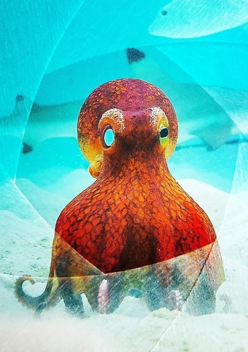 Poster  de la temporada 1 de Spy in the Ocean