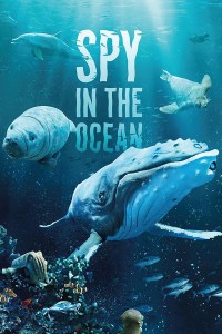 Serie Spy in the Ocean