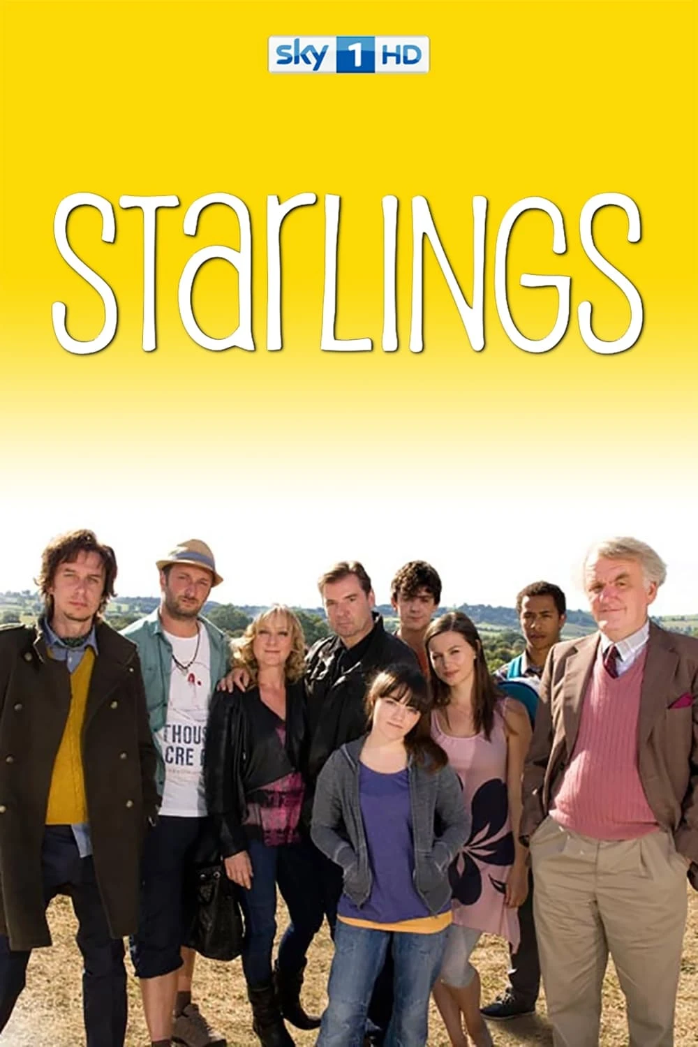 Poster  de Starlings en inglés