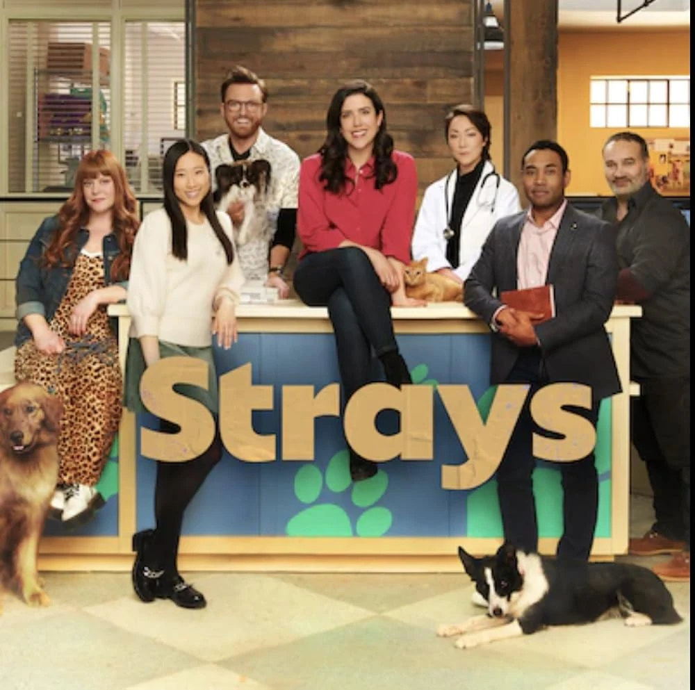 Poster  de Strays