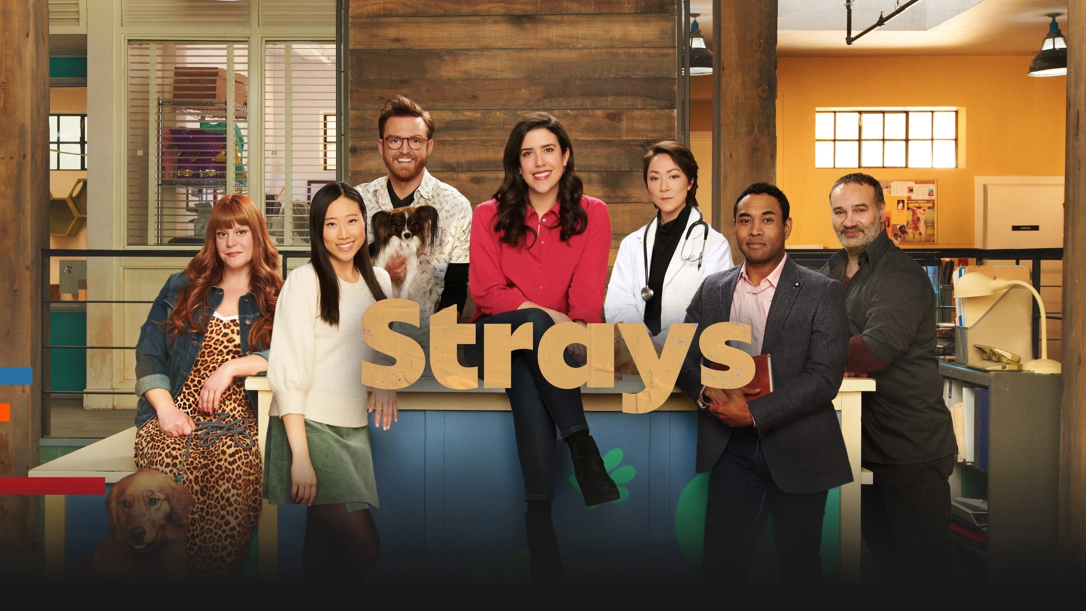 Foto de Strays