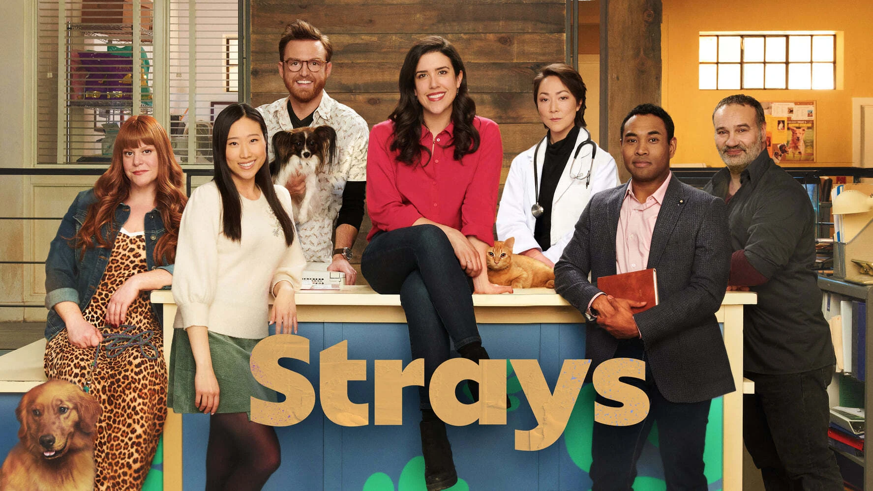 Foto de Strays
