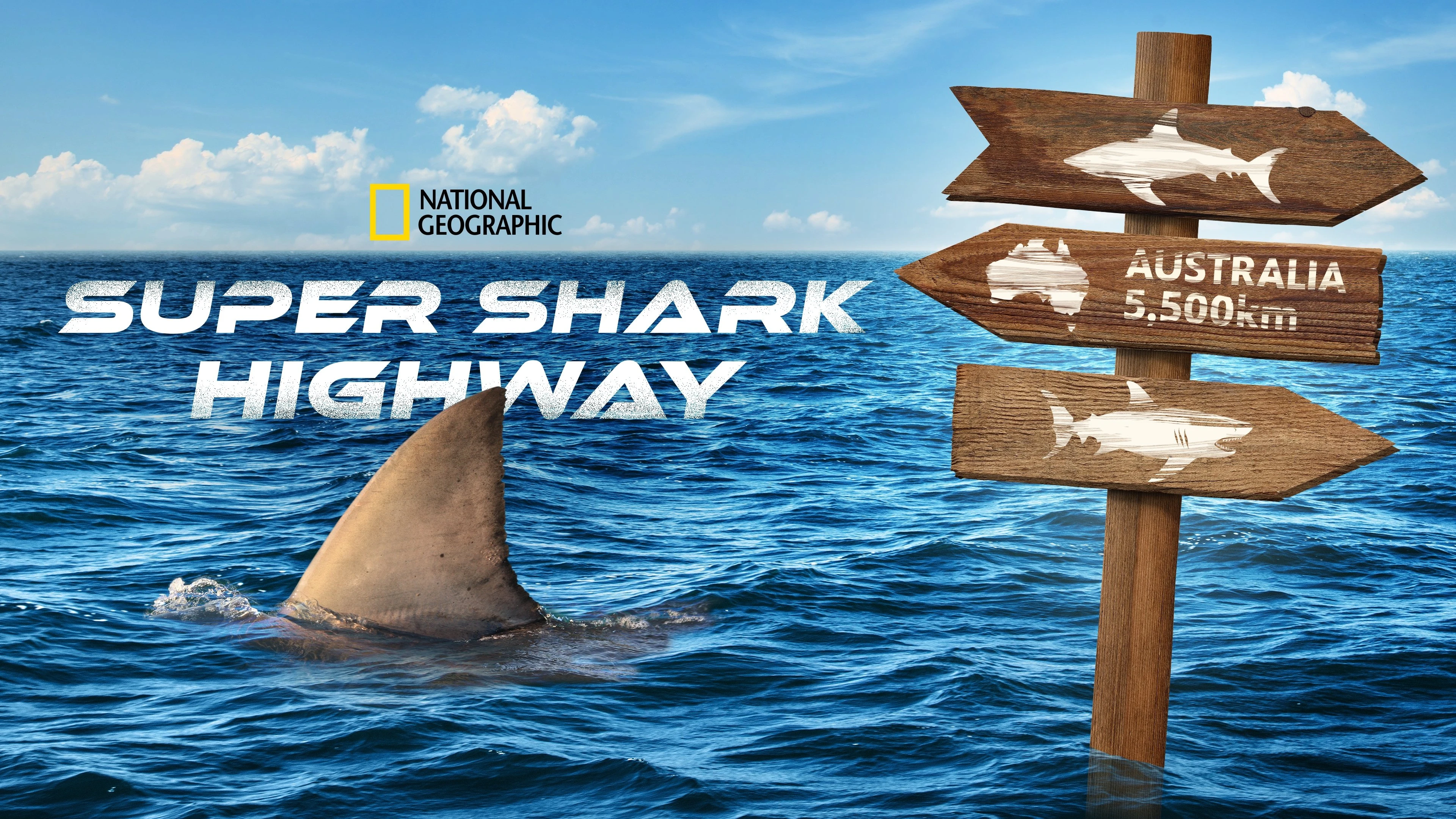 Foto de Super Shark Highway