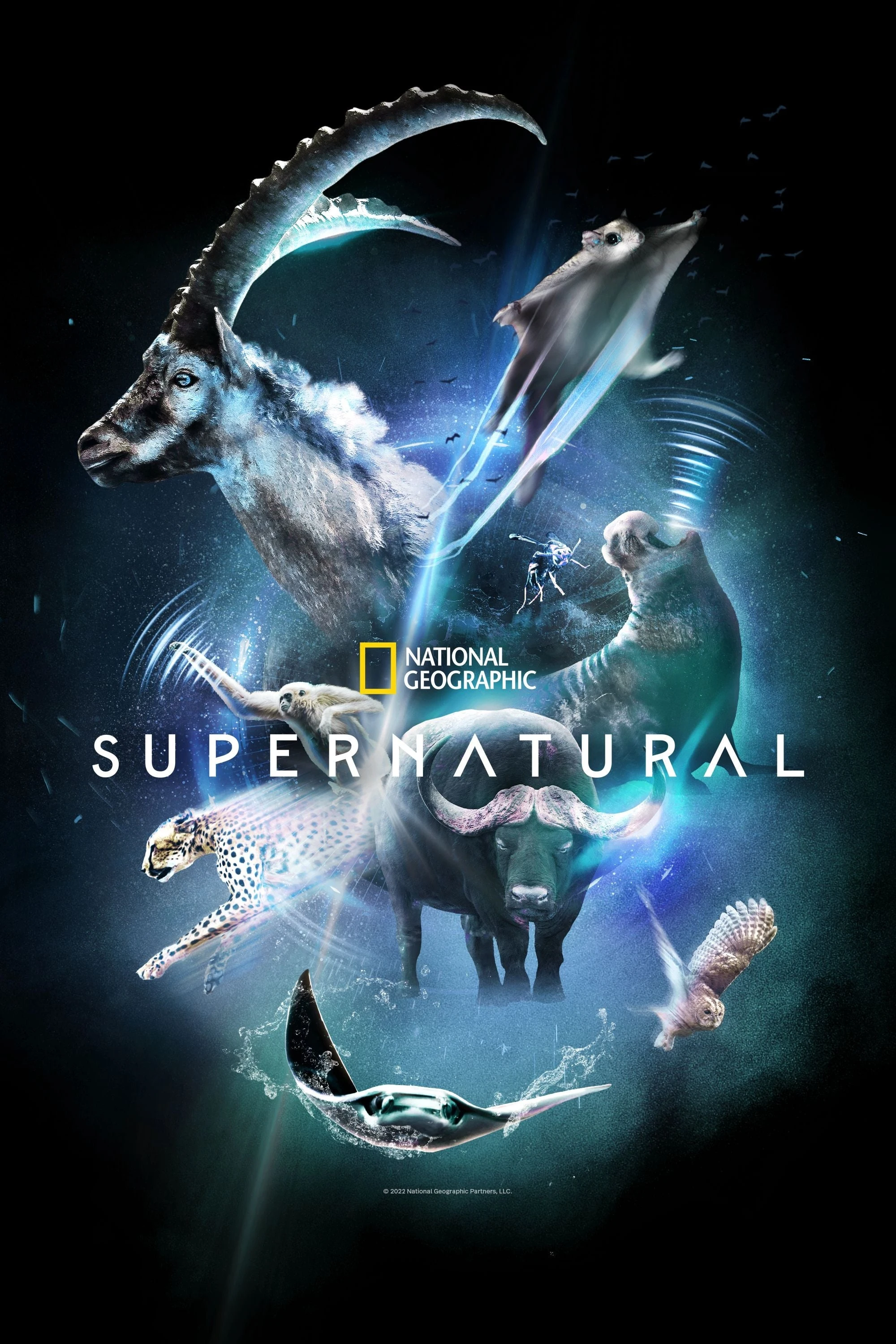 Poster  de Super Natural en español