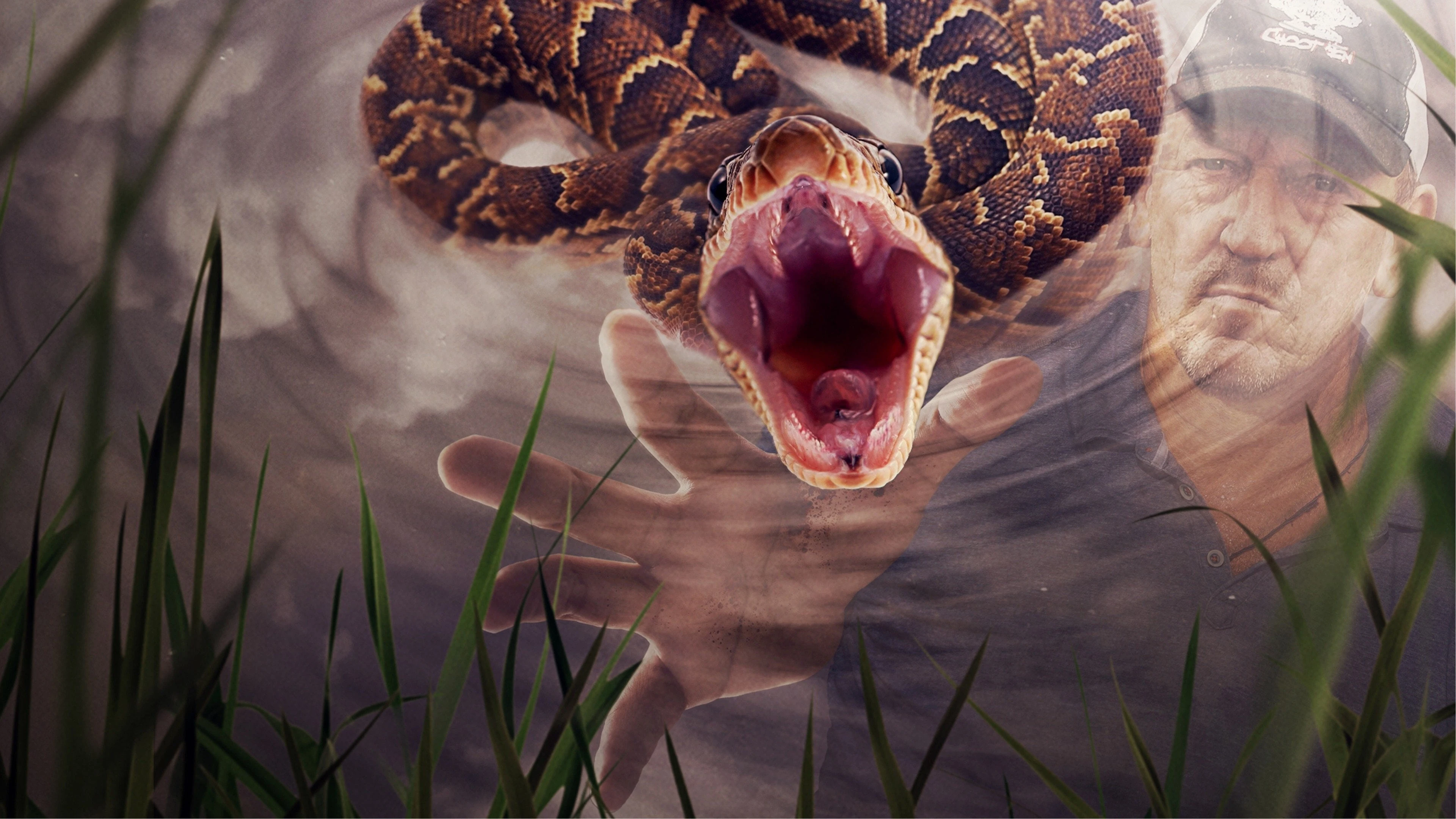 Foto de Swamp People: Serpent Invasion