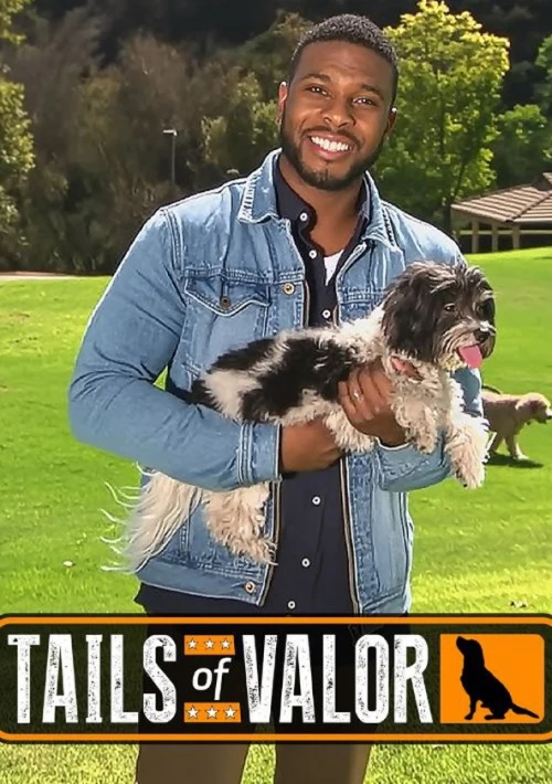 Poster  de la temporada 1 de Tails of Valor