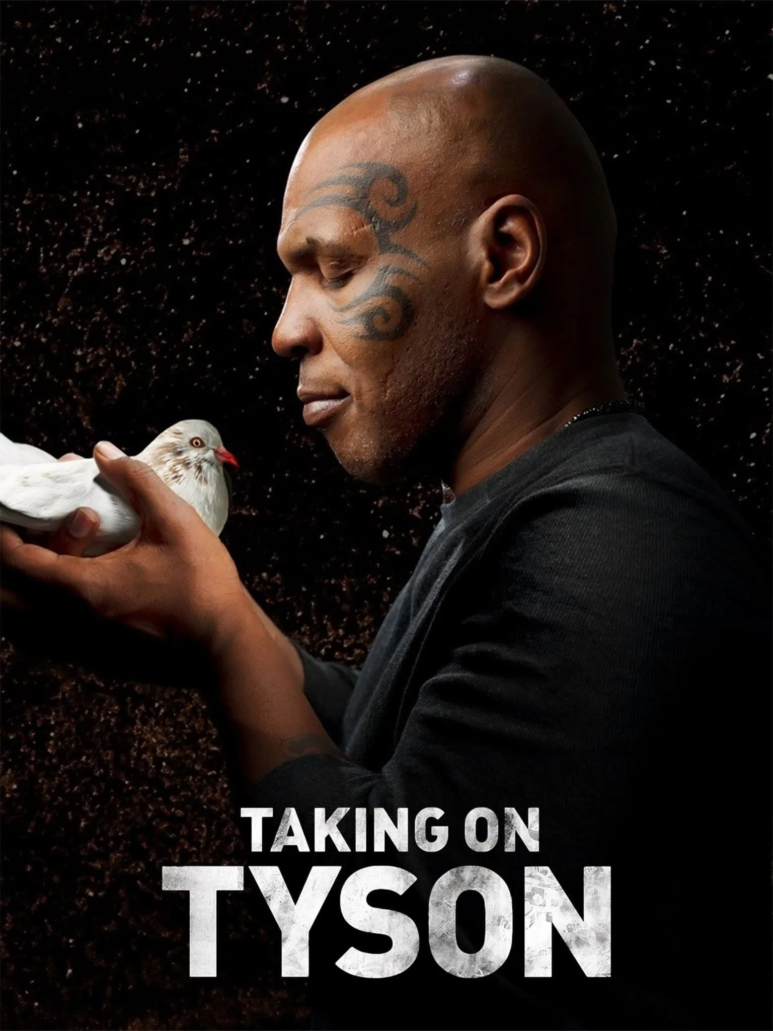 Poster  de Taking on Tyson en inglés