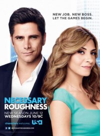 Serie Necessary Roughness