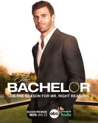 The Bachelor