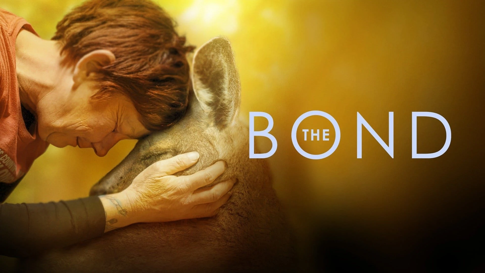 Foto de The Bond