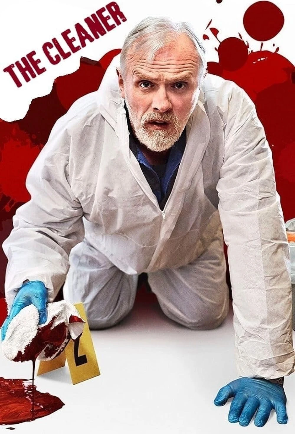 Poster  de The Cleaner