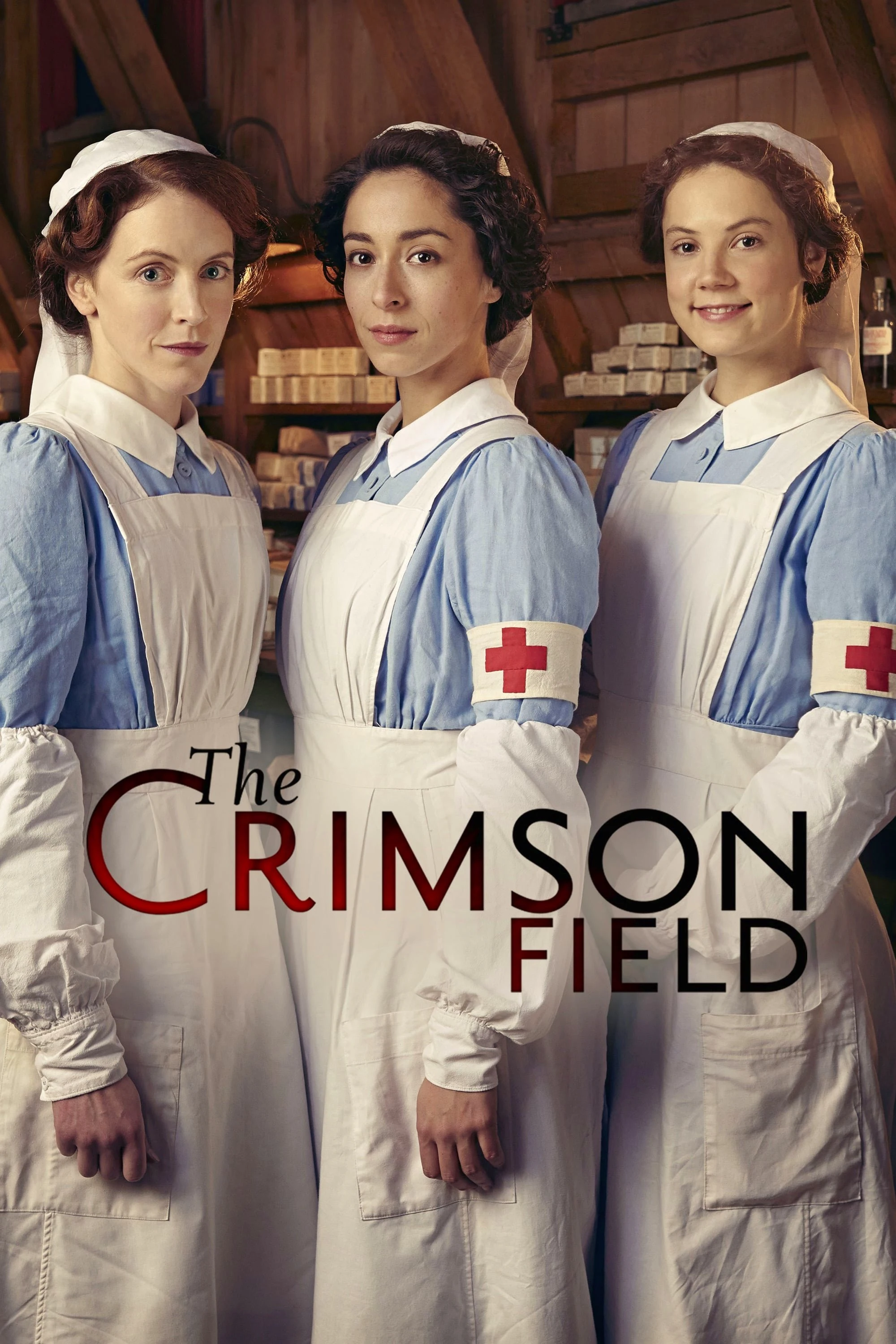 Poster  de The Crimson Field en inglés