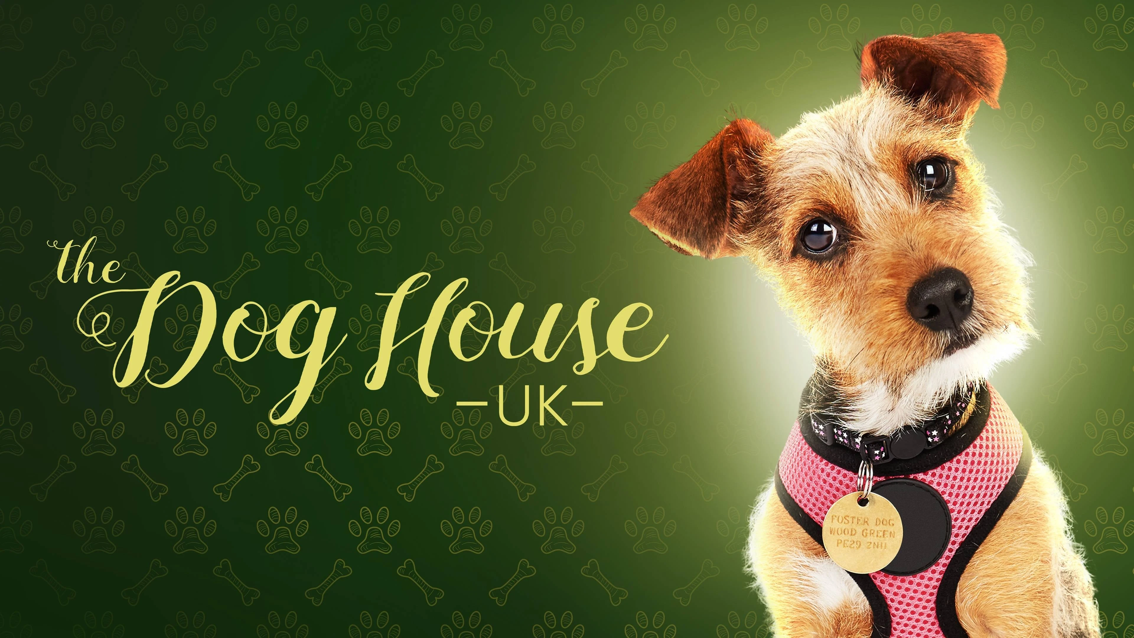 Foto de The Dog House