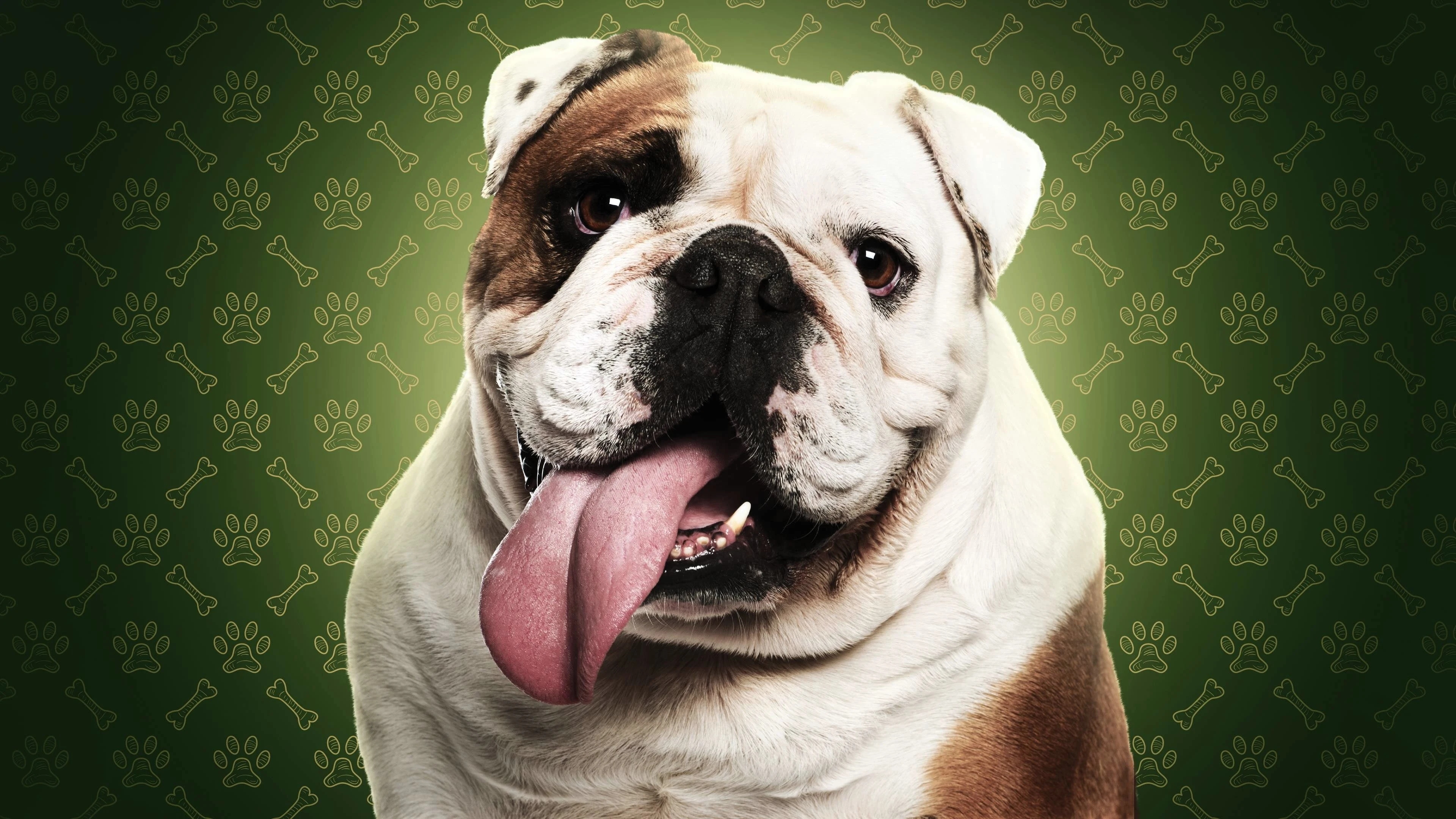 Foto de The Dog House