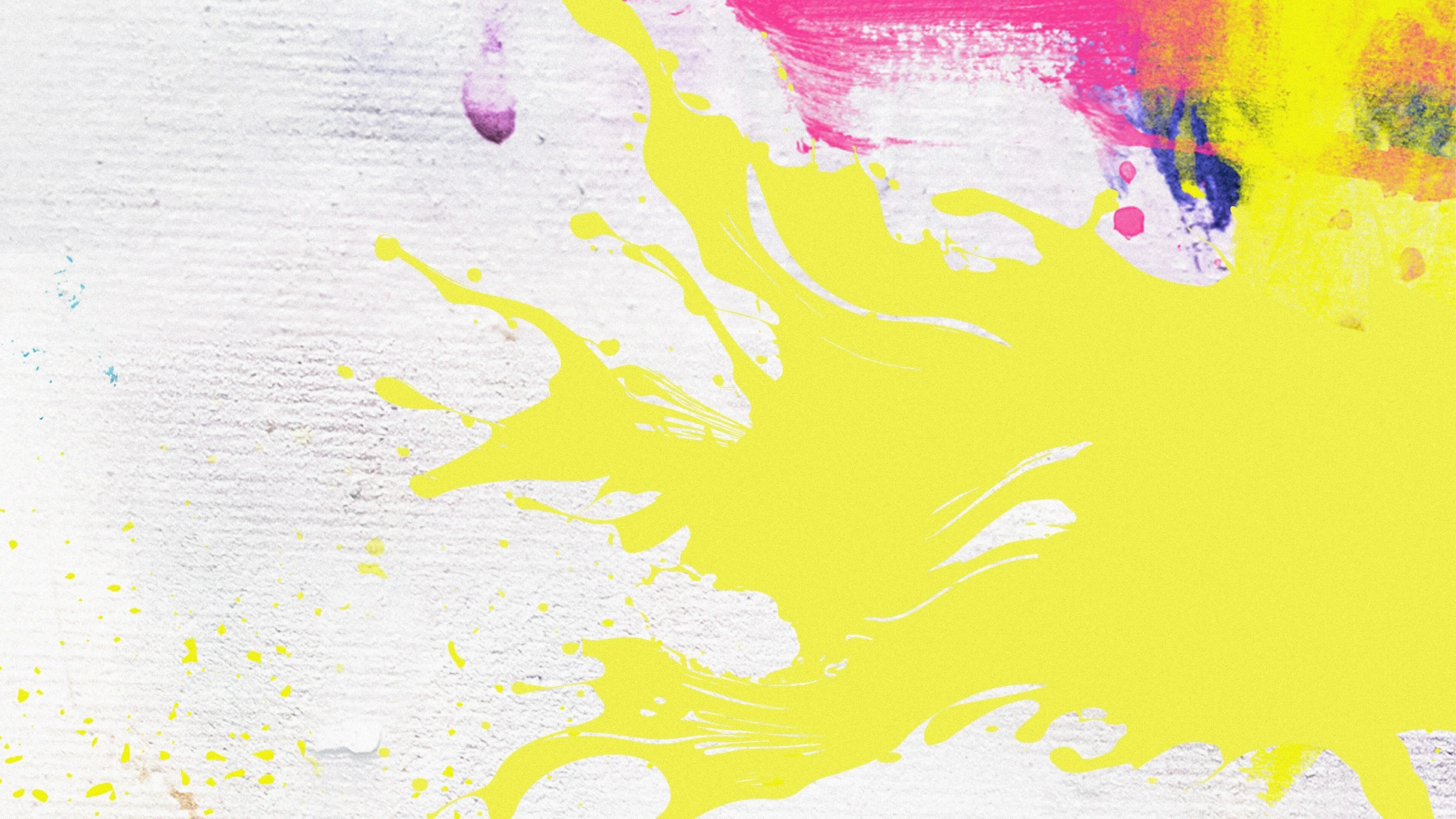 Foto de The Exhibit: Finding the Next Great Artist