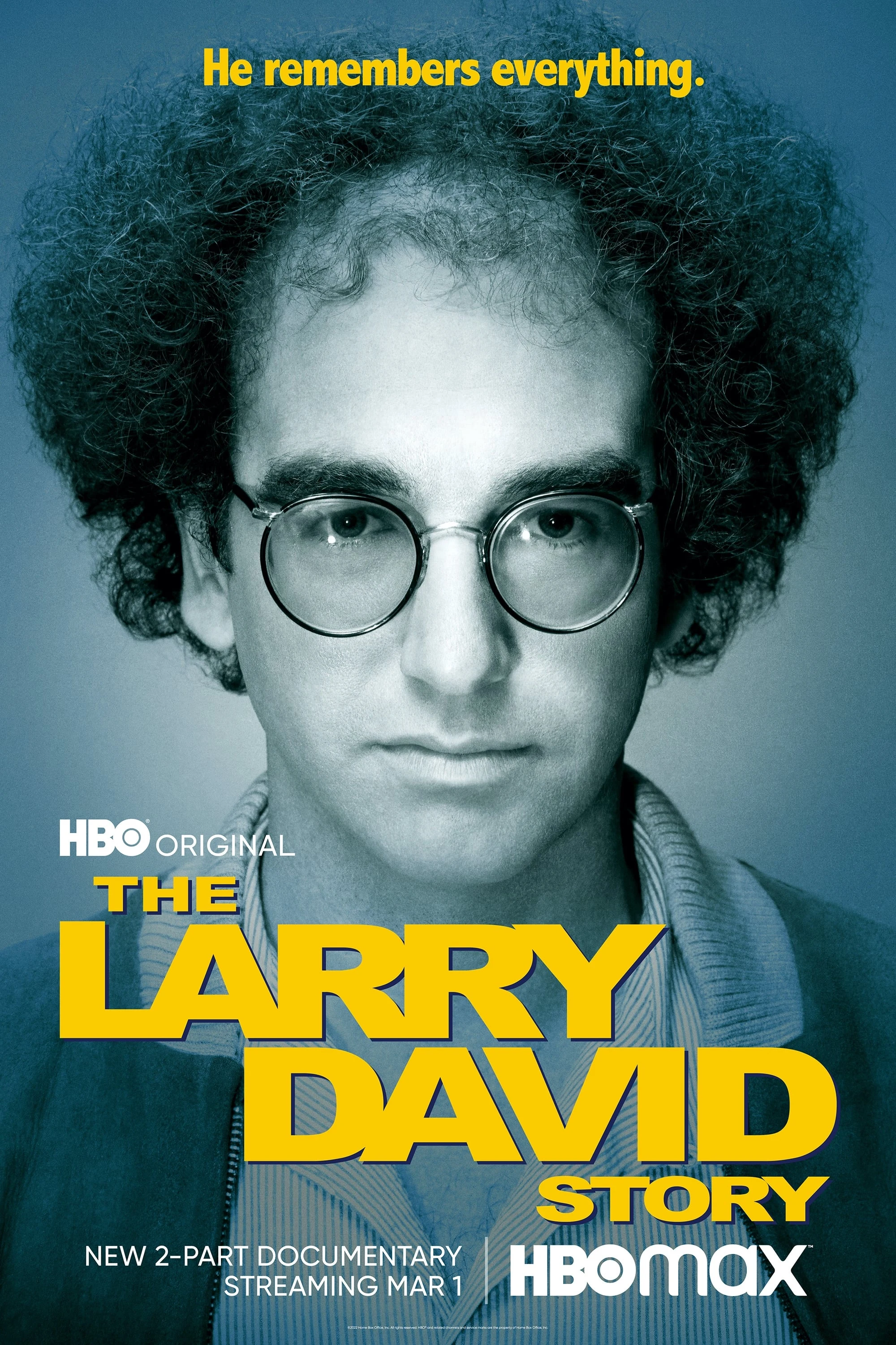 Poster  de The Larry David Story en inglés