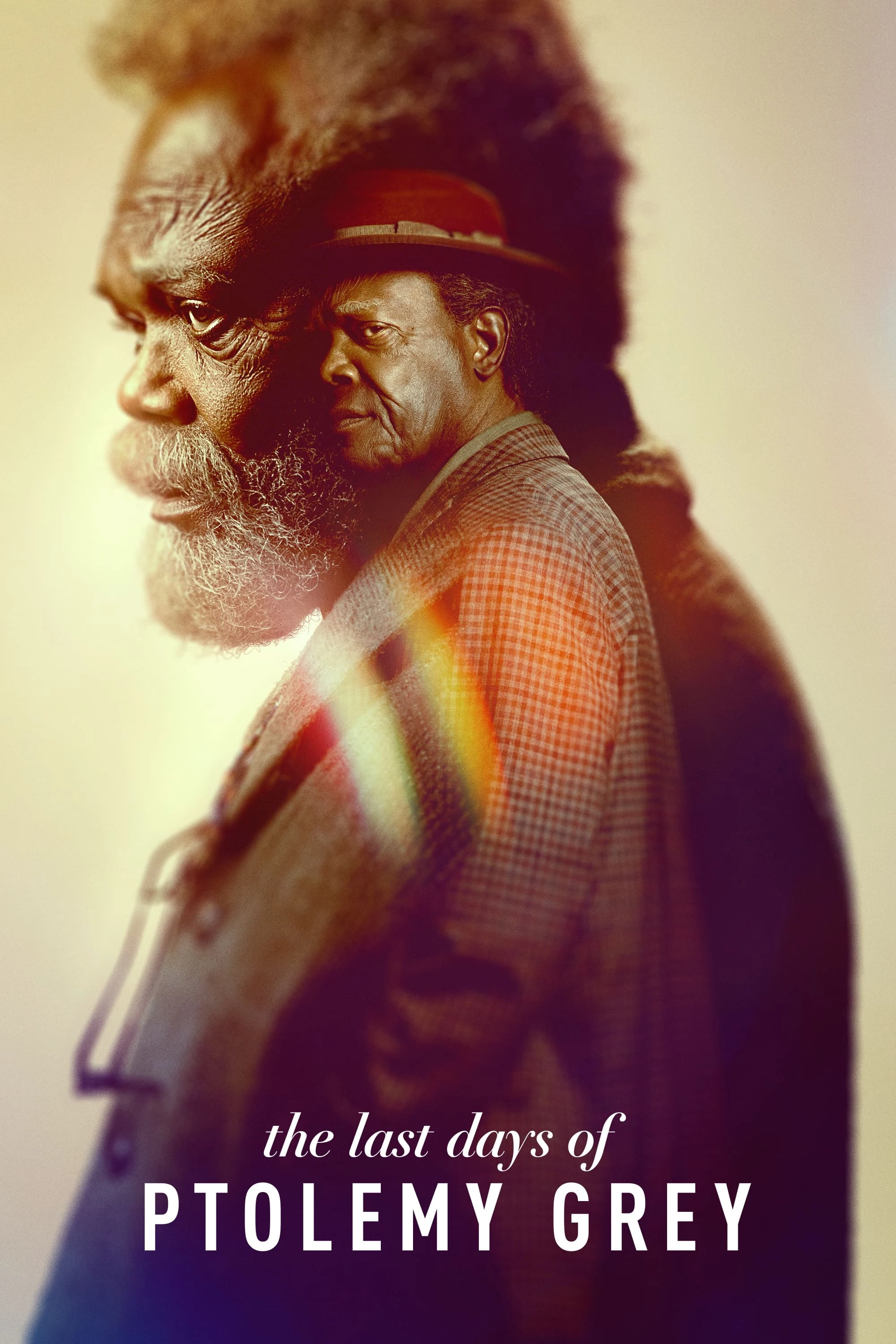 Poster  de The Last Days of Ptolemy Grey en inglés