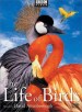 Life of Birds, The