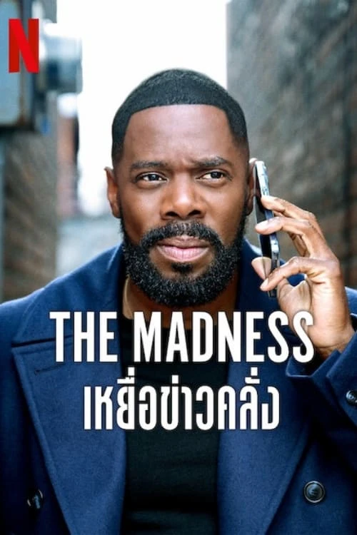 Poster  de The Madness