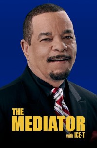 Serie The Mediator