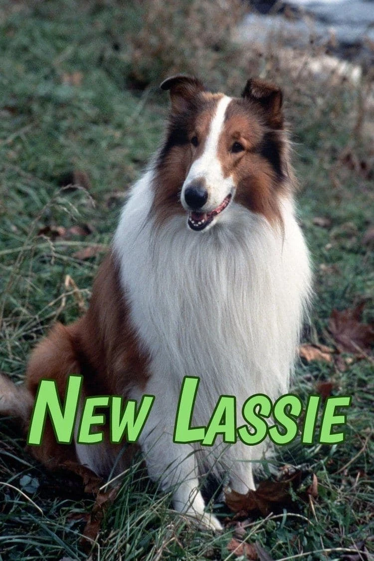 Poster  de Lassie