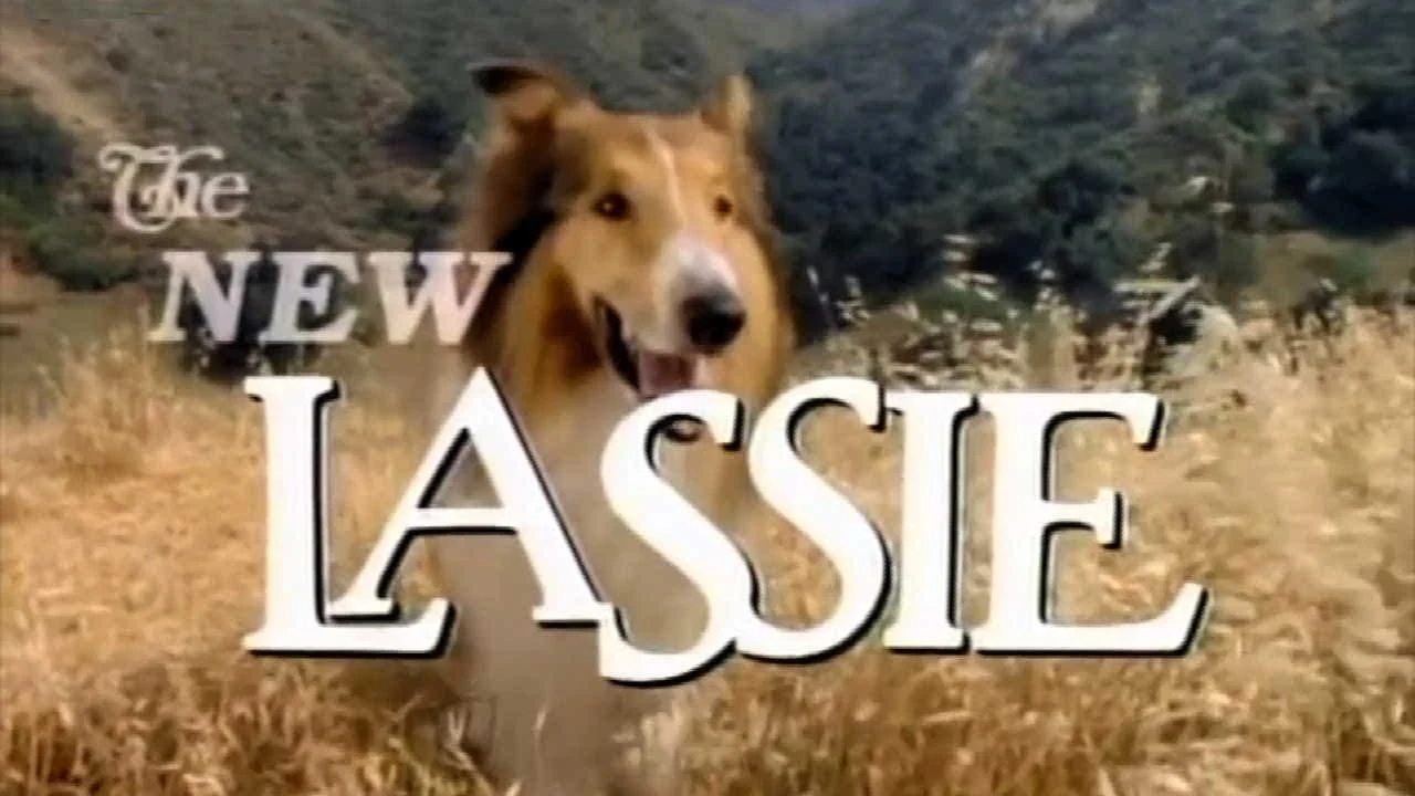 Foto de Lassie