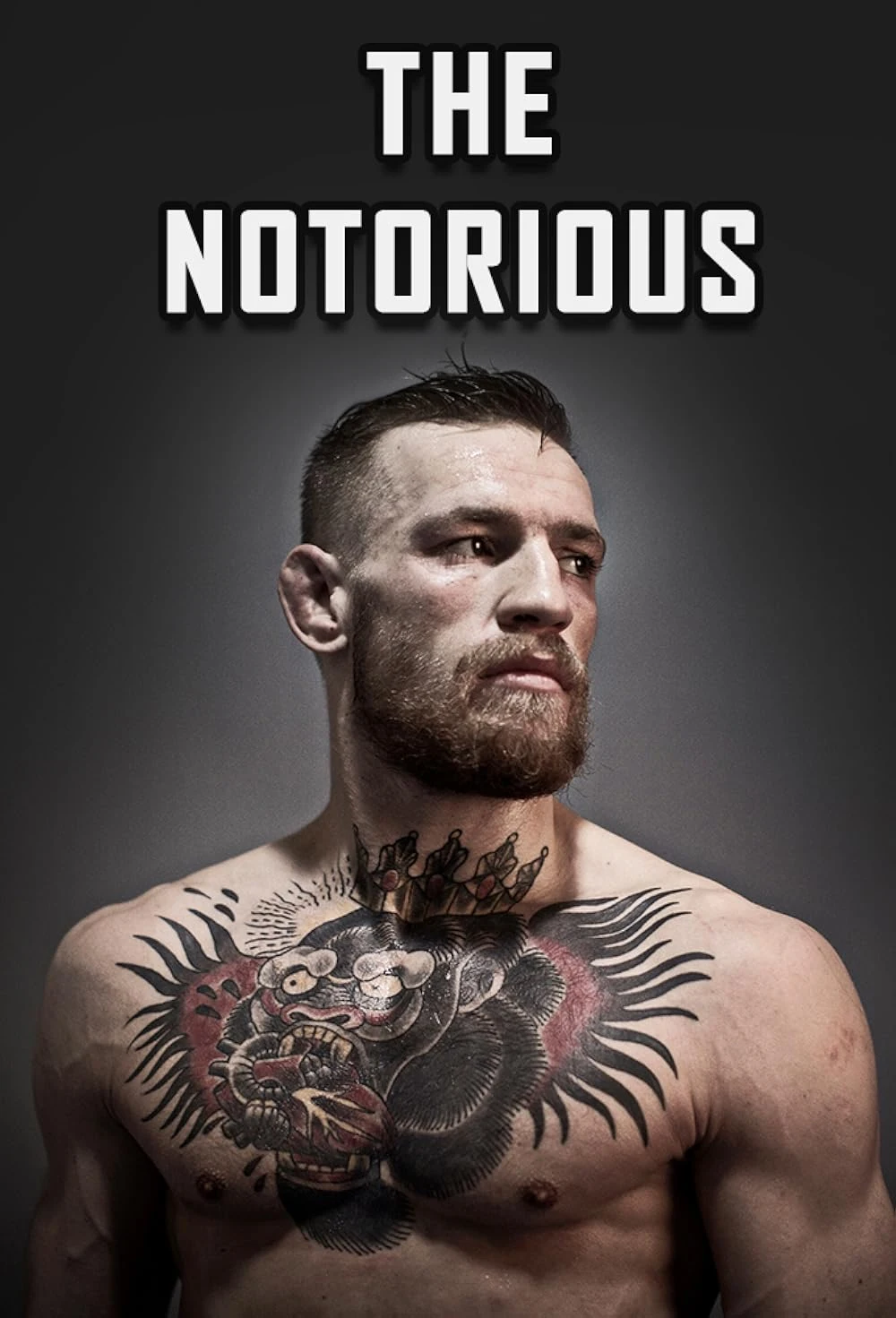 Poster  de The Notorious