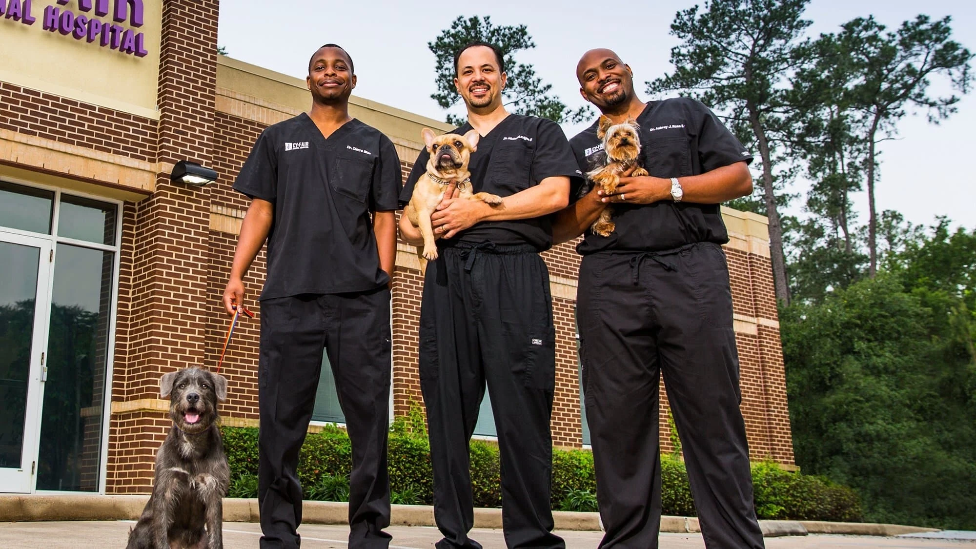 Foto de The Vet Life
