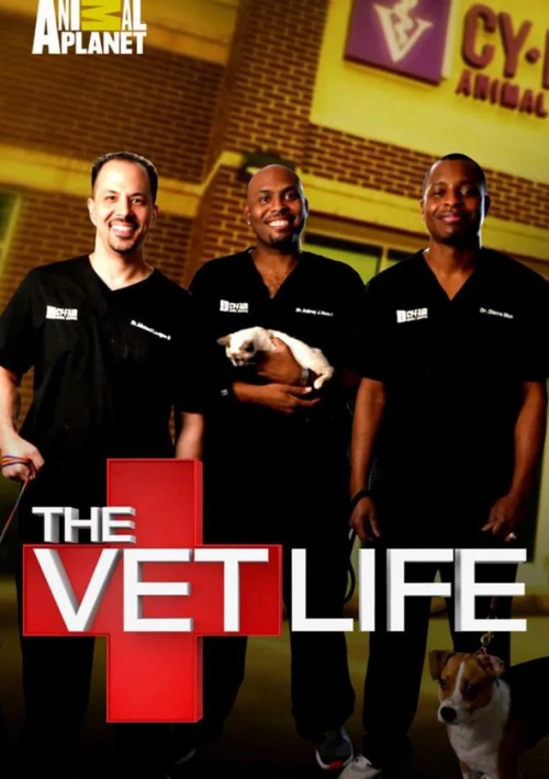 Poster  de la temporada 3 de The Vet Life