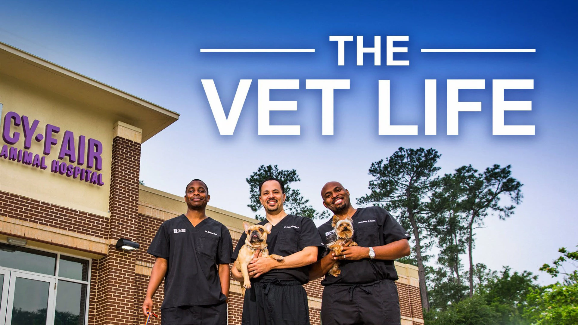 Foto de The Vet Life