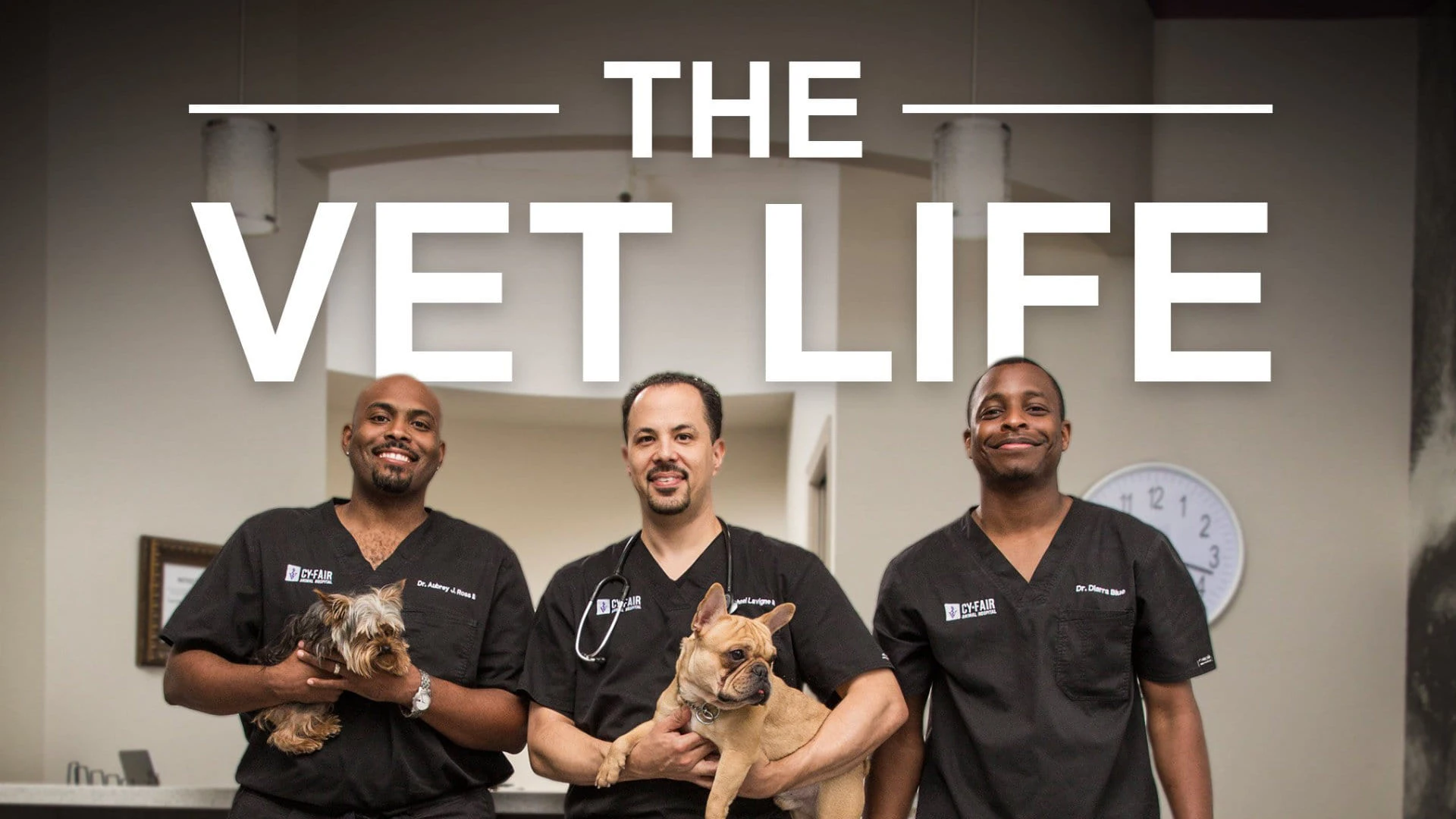 Foto de The Vet Life