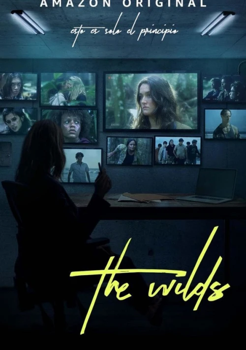 Poster  de The Wilds