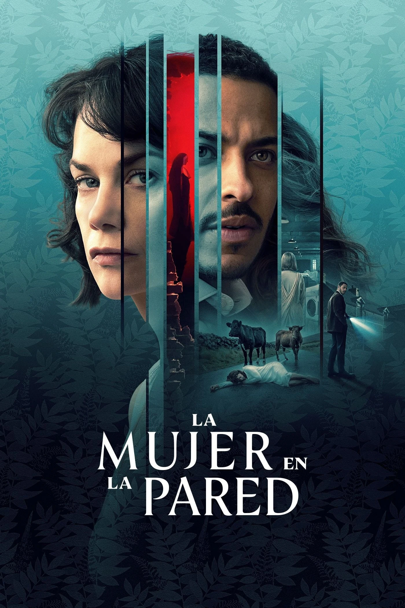 Poster  de The Woman in the Wall en español