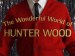 The Wonderful World of Hunter Wood