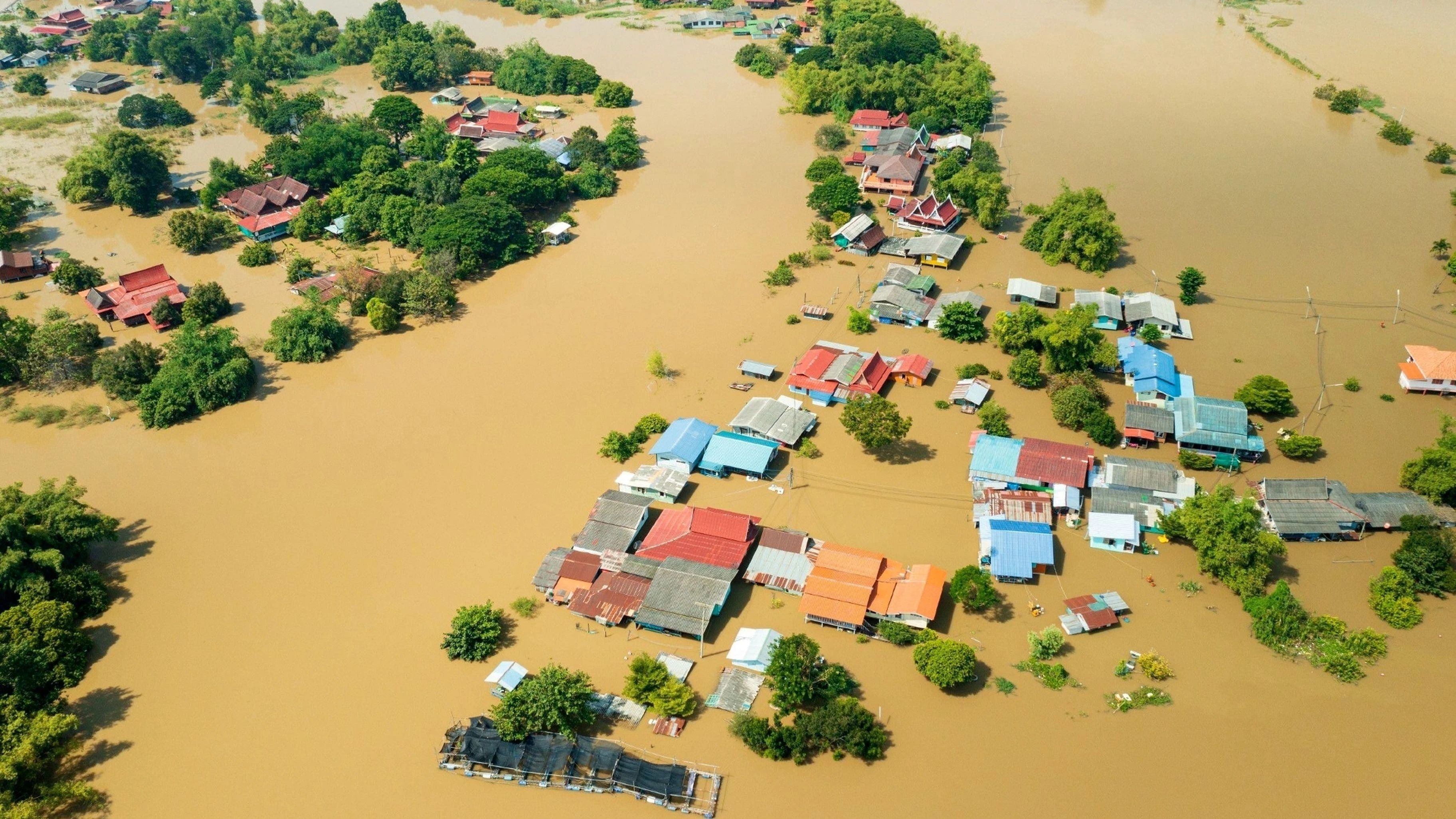 Foto de Destruction Decoded